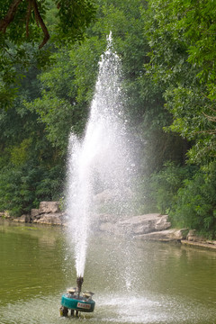 水塘中的喷泉