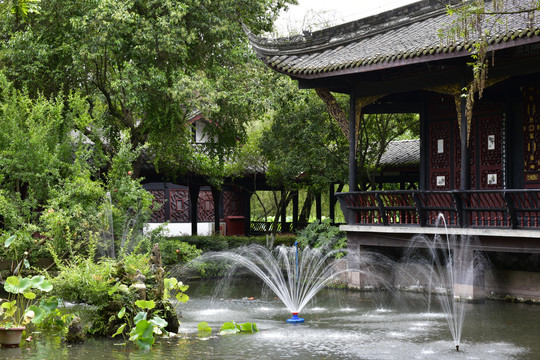 桂湖公园