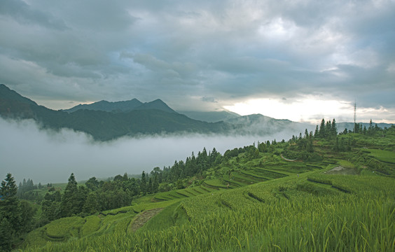 山区云雾