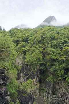 贵州天星桥峡谷喀斯特地貌