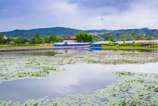 云南抚仙湖湿地