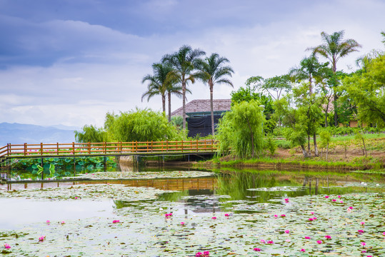 云南抚仙湖湿地