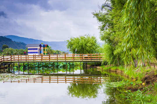 云南抚仙湖湿地