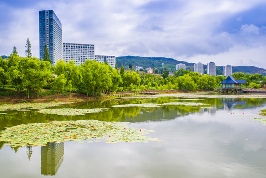 云南抚仙湖湿地