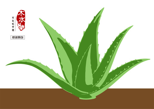 蘆薈