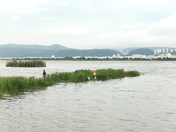 杞麓湖