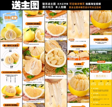 白柚詳情頁