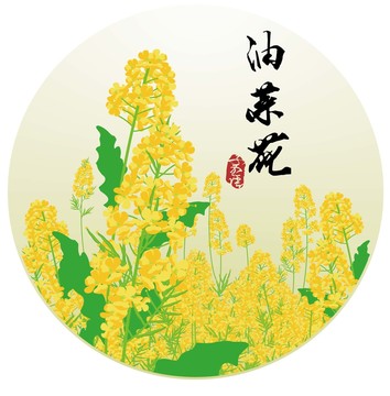 子不语手绘油菜花从