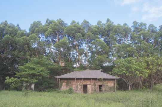 森林和小屋