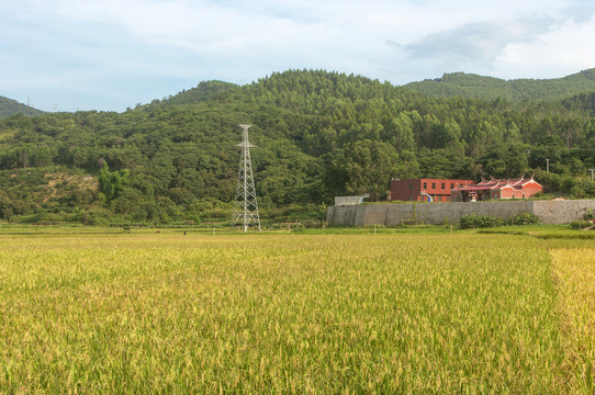 粮食基地