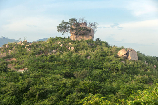 小山坡风景