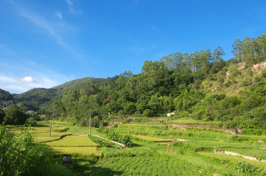 山谷田地