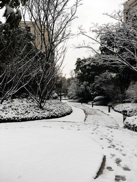 雪中小路