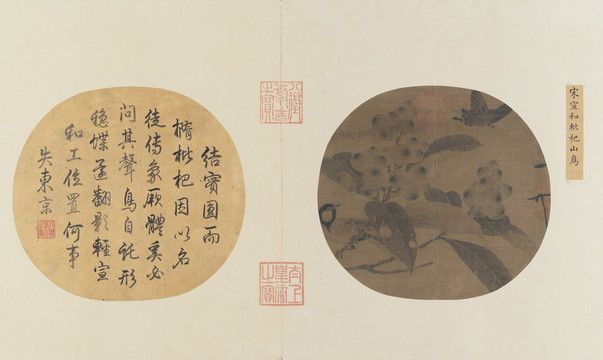 趙佶枇杷山鳥圖