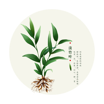 淡竹葉
