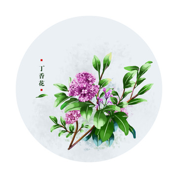 丁香花