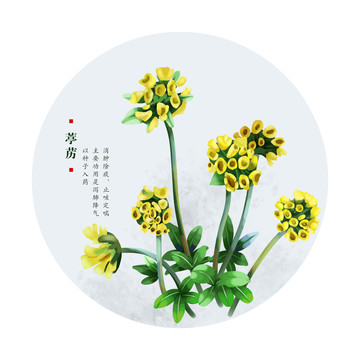 葶藶