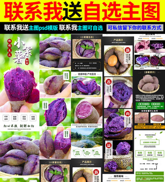小紫薯詳情頁