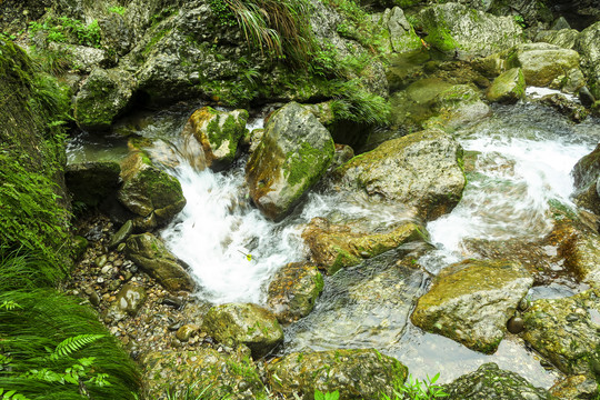 青城山后山溪水瀑布