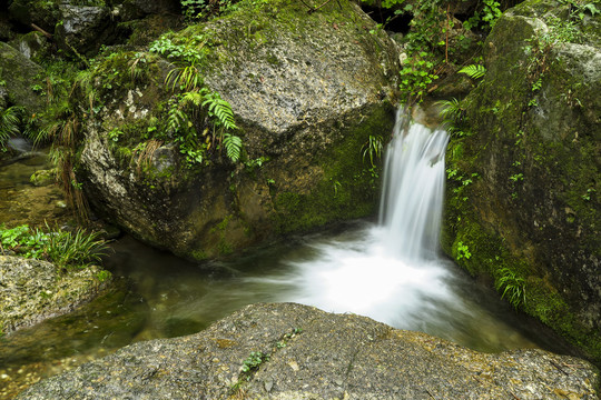 青城山后山飞瀑流泉