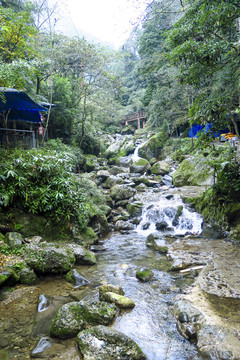 青城山后山飞瀑流泉