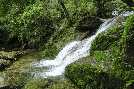 青城山后山溪水瀑布