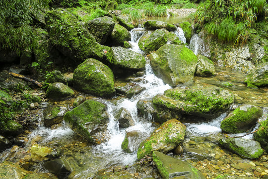 青城山后山溪水瀑布