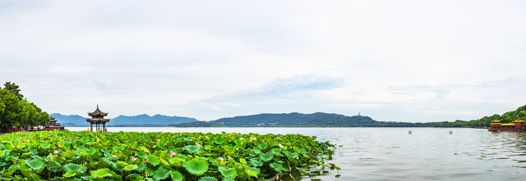 杭州西湖集贤亭全景