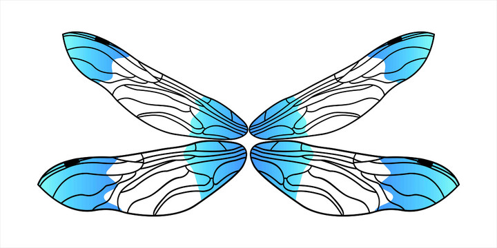 蜻蜓翅膀
