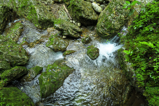 青城山后山溪水瀑布