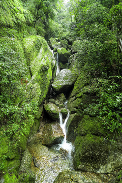 青城山后山溪水瀑布