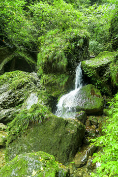 青城山后山溪流瀑布