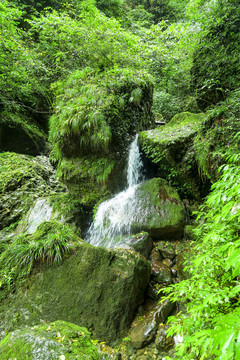 青城山后山溪水瀑布