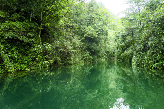 青城后山翠映湖