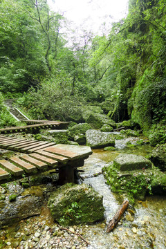 青城后山风景区