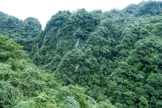 青城后山风光