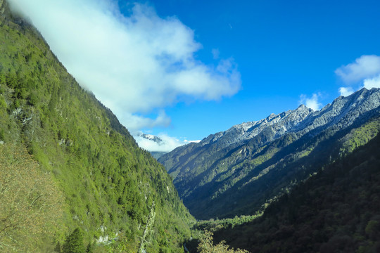 川西毕棚沟雪山风光