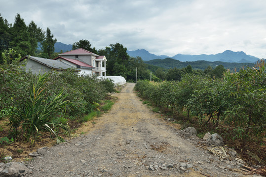 山区公路