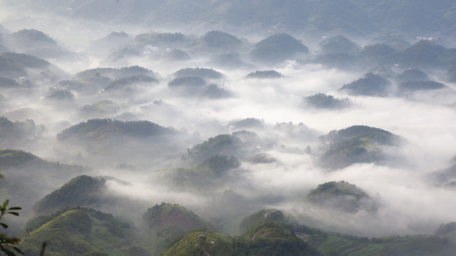 蜀南竹海雾色山峦自然风光