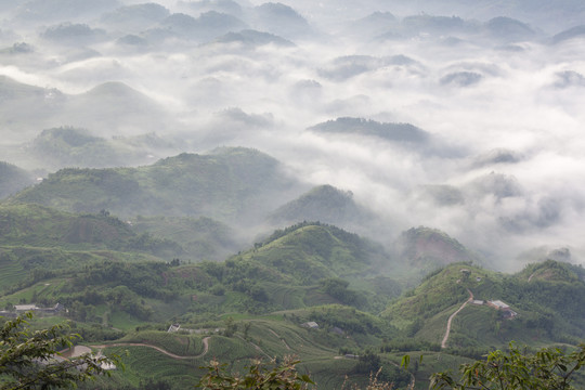 宜宾蜀南竹海晨雾缭绕丘陵与山脉