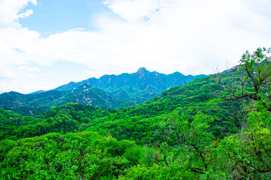 春天里的大山