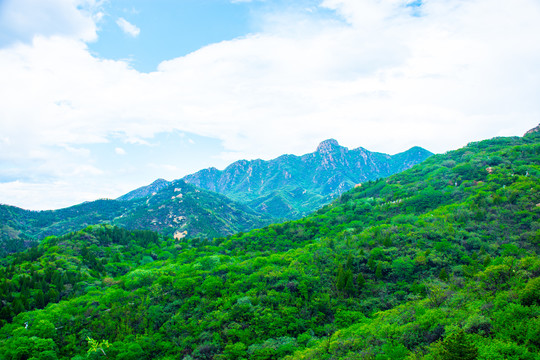 春天里的大山