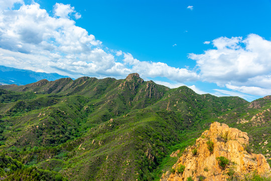 春天里的大山