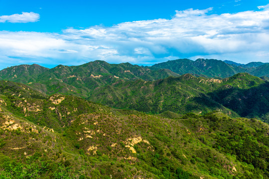 春天里的大山