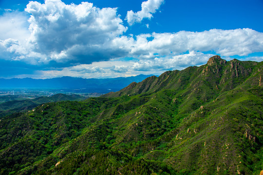 春天里的大山