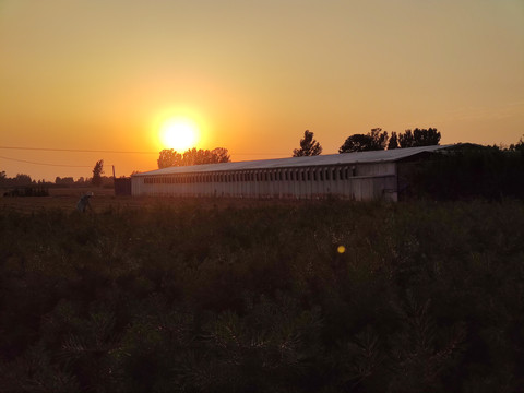 夕阳田野