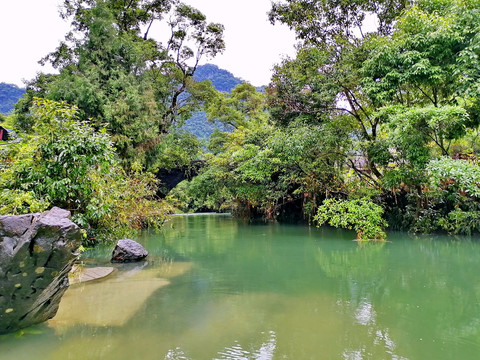 荔波茂兰尧所古桥