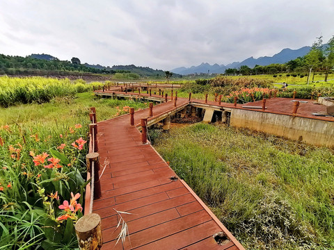 湿地公园风景