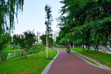 公园绿化道路风景