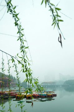 苏州城市公园湖泊风景